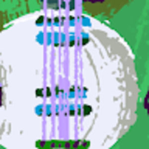 Meet your Posher, Elsa